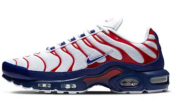 Nike Air Max Plus 'USA' - 1