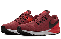 Фото № 3 с приближением к товару «‎Nike Air Zoom Structure 22 'Cedar'»