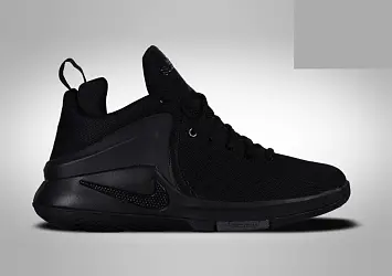 Nike Lebron Zoom Witness