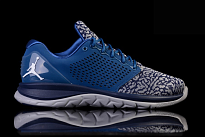 Фото № 3 с приближением к товару «‎Nike Air Jordan Trainer ST French »