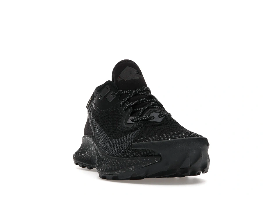 Фото № 4 с приближением к товару «‎Nike Pegasus Trail 2 Gore-Tex Black Metallic Dark Grey »