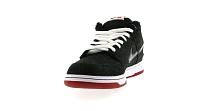 Фото № 2 с приближением к товару «‎Nike SB Dunk Low Larry Perkins»