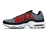 Фото № 3 с приближением к товару «‎Nike Air Max Plus Striped Black White»