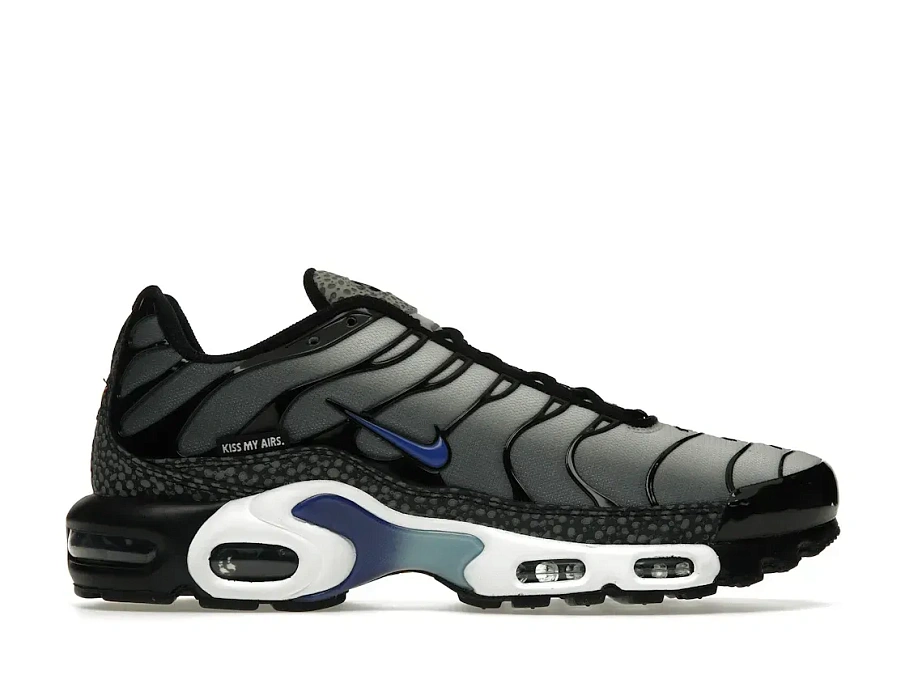 Фото № 1 с приближением к товару «‎Nike Air Max Plus Kiss My Airs Metallic Silver»