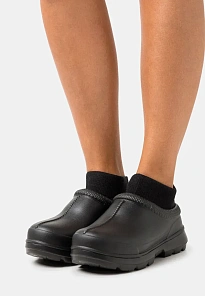 Фото № 1 с приближением к товару «‎TASMAN X»