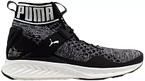 Фото № 1 с приближением к товару «‎Puma Ignite EvoKnit Black/Quiet Shade-White»
