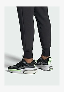 Фото № 1 с приближением к товару «‎ALPHABOOST V1»