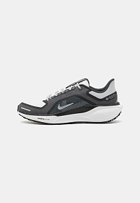 Фото № 1 с приближением к товару «‎AIR ZOOM PEGASUS 41 GTX»
