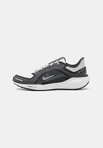 AIR ZOOM PEGASUS 41 GTX (SPN1242A2T7-Q11) - 1