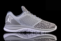 Фото № 3 с приближением к товару «‎Nike Air Jordan Trainer ST Wolf »