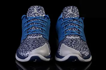 Nike Air Jordan Trainer ST French (820253-403) - 2