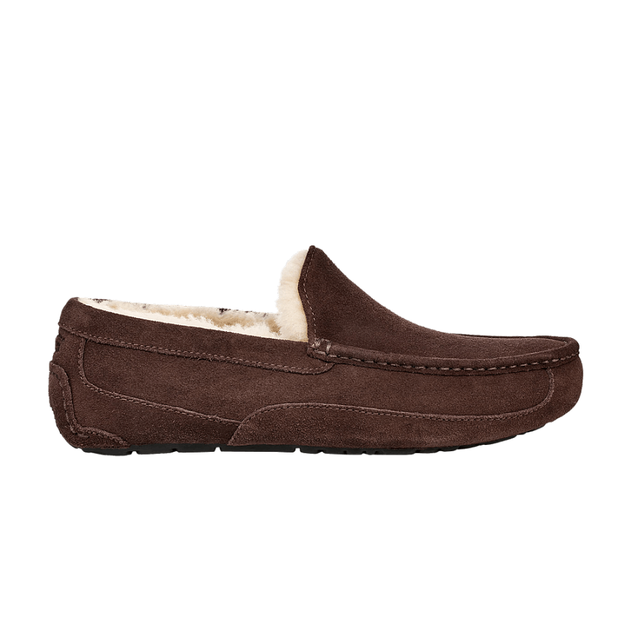 Фото № 1 с приближением к товару «‎UGG Ascot Slipper Espresso»