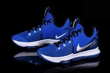 Nike Lebron Witness V Photo - 2