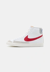 Фото № 1 с приближением к товару «‎Кроссовки Nike SPNI112O0NE-A11-N»