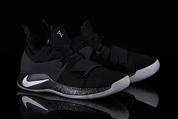 Nike PG 2.5 Pure Platinium (BQ8452-004) - 2