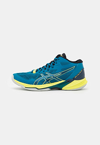 Фото № 1 с приближением к товару «‎Asics Sky Elite 2 FF MT »