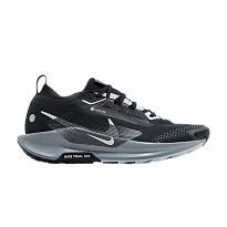Фото № 1 с приближением к товару «‎Nike Pegasus Trail 5 GORE-TEX Black Wolf Grey (FQ0908-001)»