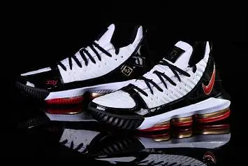 Nike Lebron 16 SB - 3