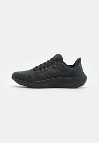 Фото № 1 с приближением к товару «‎AIR  PEGASUS »