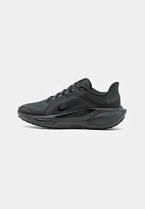 Фото № 1 с приближением к товару «‎AIR PEGASUS 41 GTX»