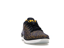 Фото № 5 с приближением к товару «‎Jordan Trainer 1 Low Michigan»