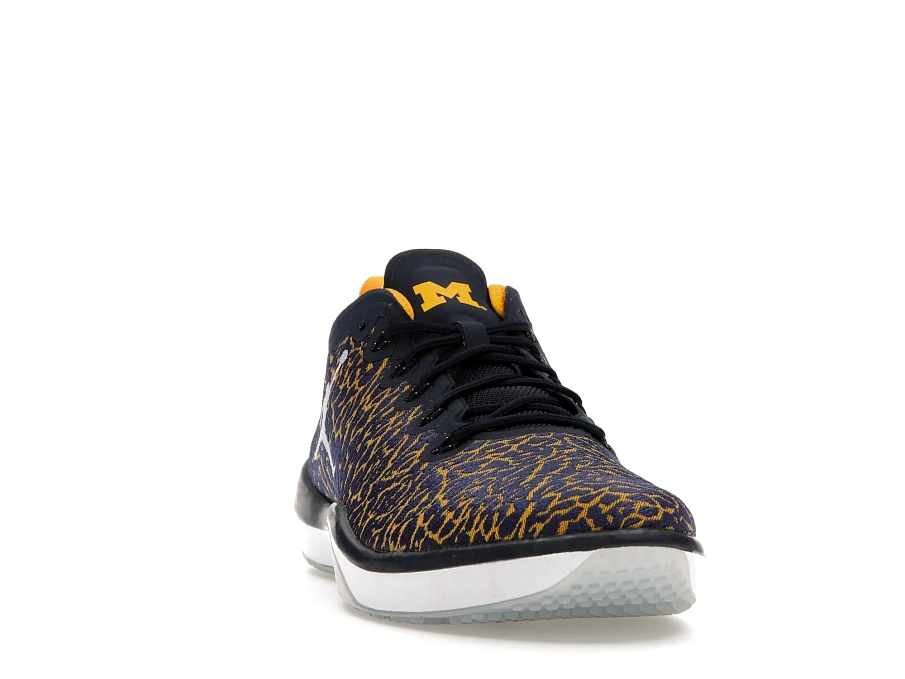 Фото № 5 с приближением к товару «‎Jordan Trainer 1 Low Michigan»