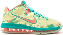 Фото № 1 с приближением к товару «‎Nike LeBron 9 Low LeBronald Palmer (PE)»