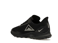 Фото № 6 с приближением к товару «‎Nike Zoom Pegasus 36 Trail Gore-tex Black»
