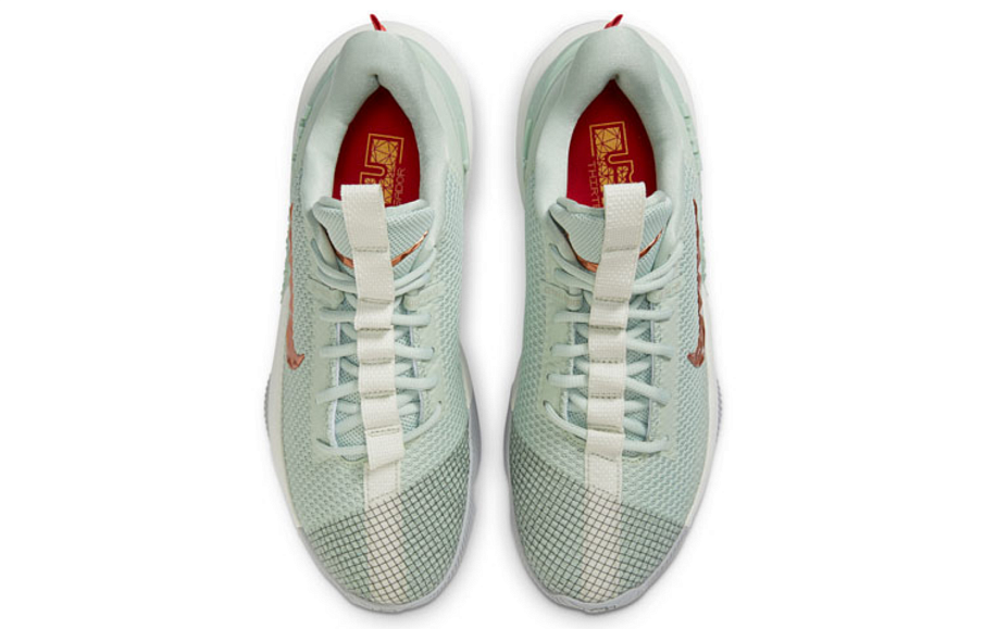 Фото № 4 с приближением к товару «‎Nike LeBron Ambassador 13 'Empire Jade'»