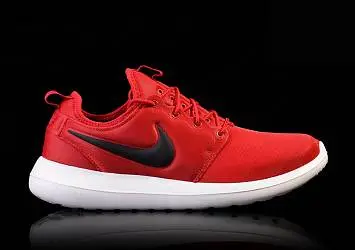 Nike Roshe Two Gym  - 1