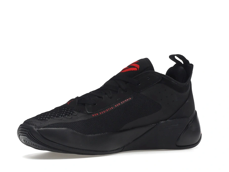 Фото № 4 с приближением к товару «‎Jordan Luka 1 Bred Long Range»