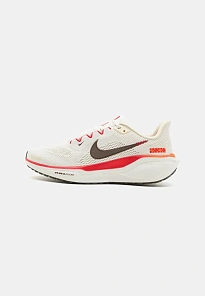 Фото № 1 с приближением к товару «‎AIR ZOOM PEGASUS 41»