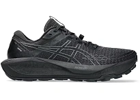 Фото № 1 с приближением к товару «‎ASICS Gel-Trabuco 13 Gore-Tex»