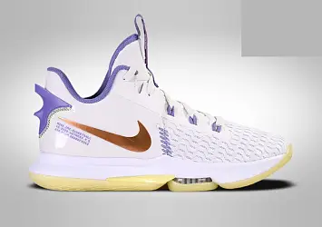 Nike Lebron Witness V Summit (CQ9380-102) - 1