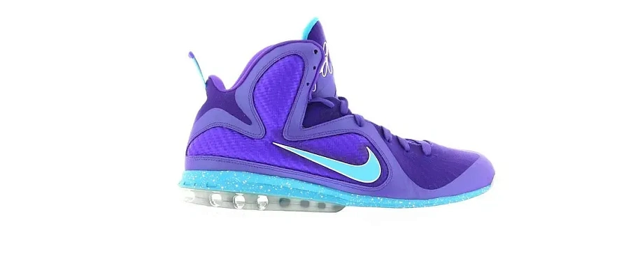 Фото № 1 с приближением к товару «‎Nike LeBron 9 Summit Lake Hornets»