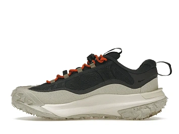 Nike ACG Mountain Fly 2 Low Gore-Tex Dark Smoke Grey - 3