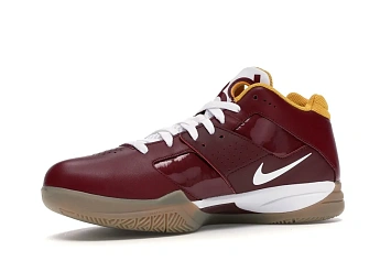 Nike KD 3 Redskins - 3