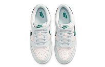Фото № 4 с приближением к товару «‎ Nike Dunk Low Skate shoes»