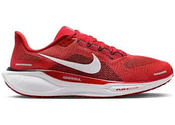 Nike Air Zoom Pegasus 41 (FZ5115-600)