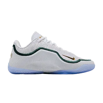 Nike Lebron 23 From This Point Forward