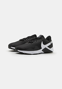 Фото № 2 с приближением к товару «‎Nike Legend Essential 2»