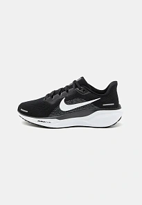 Фото № 1 с приближением к товару «‎AIR ZOOM PEGASUS 41»