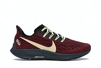 Фото № 1 с приближением к товару «‎Nike Air Zoom Pegasus 36 Florida State»