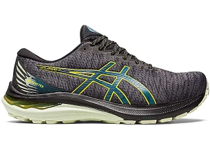 ASICS GT-2000 11 Gore-Tex