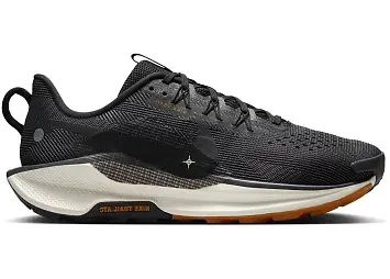 Nike Pegasus Trail 5 (DV3864-006)