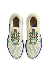 Фото № 3 с приближением к товару «‎Nike Road Winflo 9 Premium»