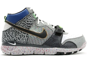 Nike Trainer Dunk High mita sneakers