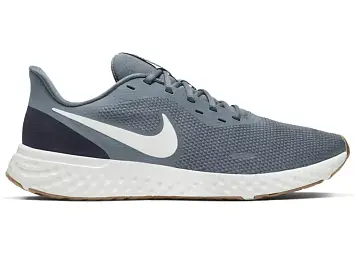 Nike Revolution 5 (BQ3204-012)