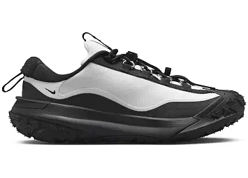 Nike ACG Mountain Fly 2 Low