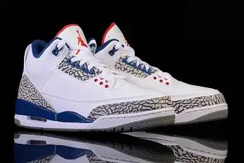 Nike Air Jordan 3 Retro OG True  - 2